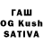 MDMA Molly Kitten Avgust