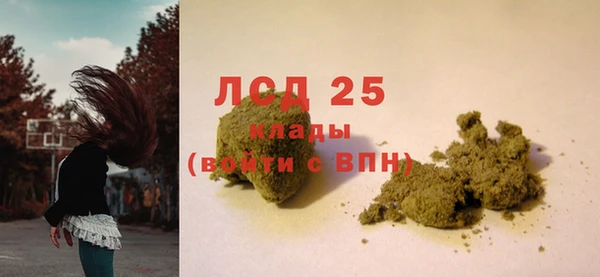 ГАЛЛЮЦИНОГЕННЫЕ ГРИБЫ Абинск