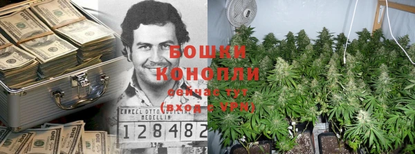 дурь Алзамай