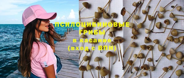 дурь Алзамай