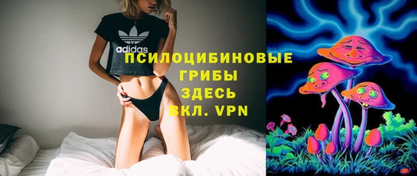дурь Алзамай