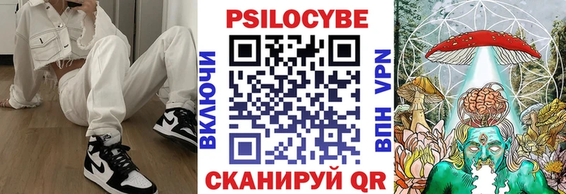 omg как войти  Боровичи  Галлюциногенные грибы Cubensis 