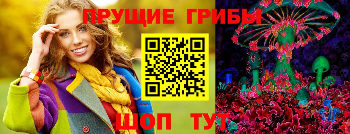 Галлюциногенные грибы MAGIC MUSHROOMS  Вход с VPN  Боровичи 