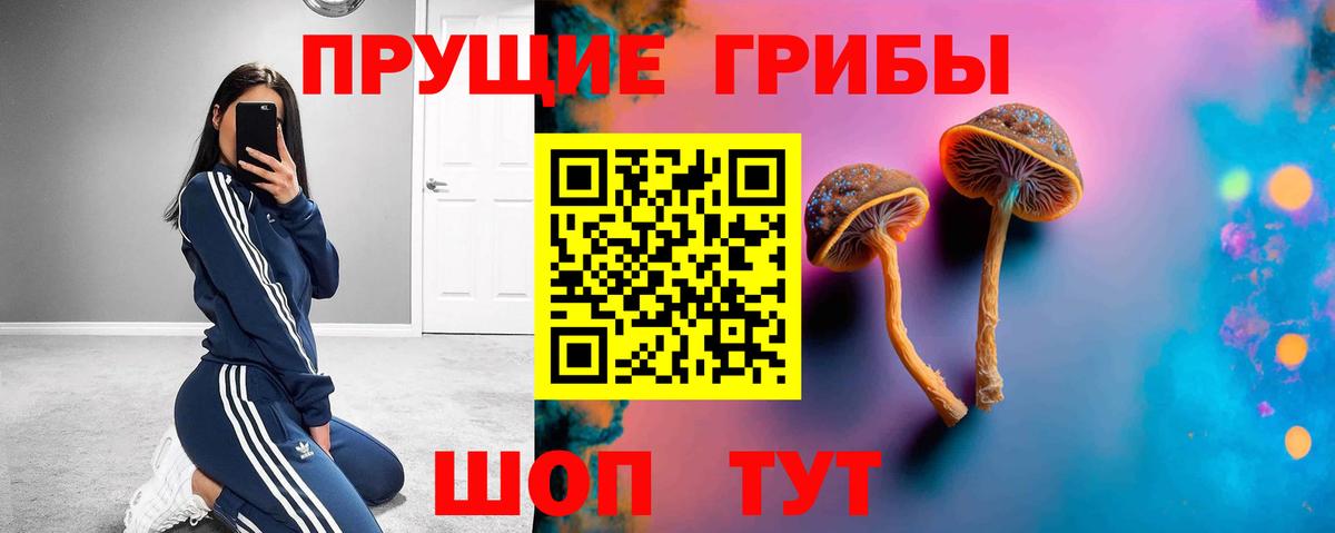 Псилоцибиновые грибы MAGIC MUSHROOMS Боровичи