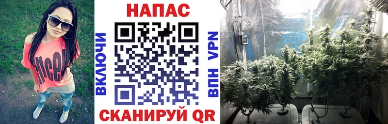 Марихуана SATIVA & INDICA Боровичи